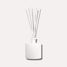 Scent inspired by Daily Routine Shampoo